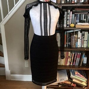Project Runway Mesh Dress